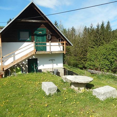 Ferienhaus Am Reitbauernhof Luckyranch Mellach  Buitenkant foto